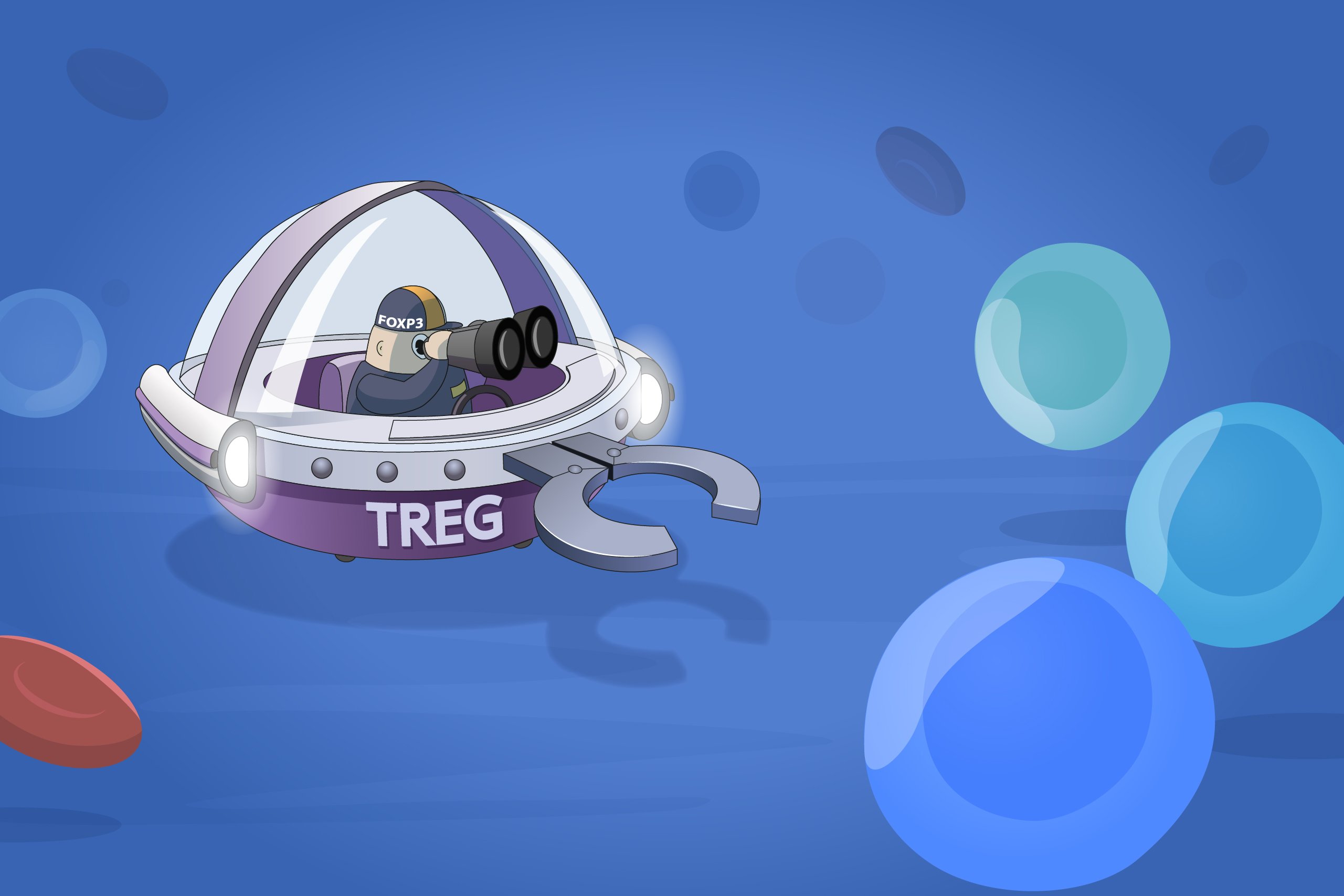 Treg immune cell illustration